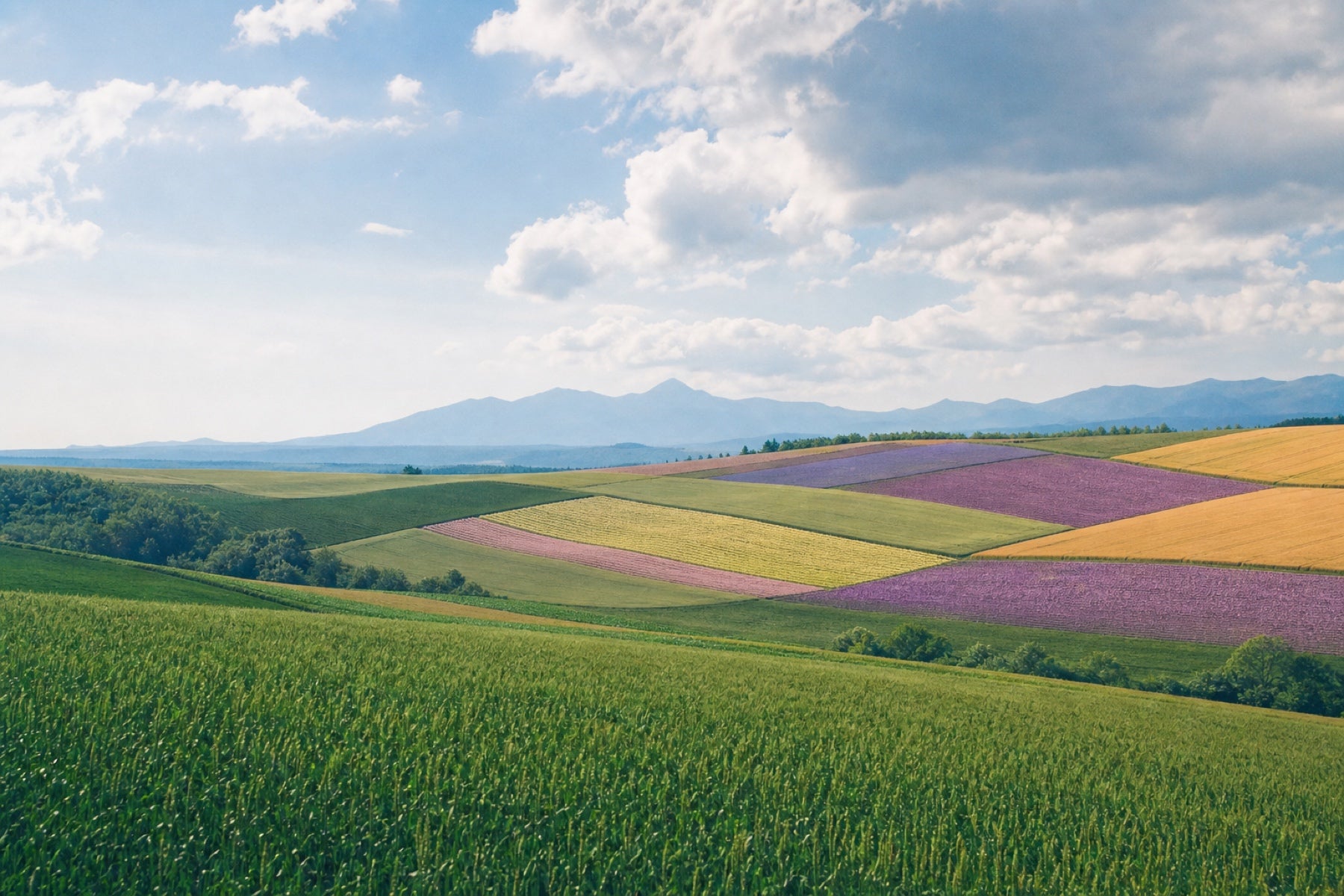 Hokkaido — patchwork farmland hills