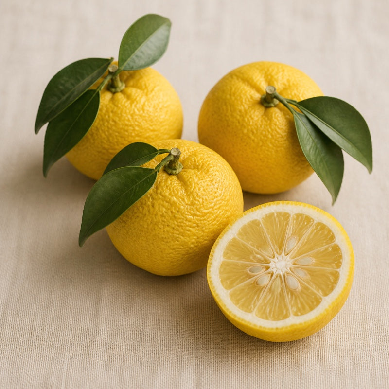 Noto yuzu citrus