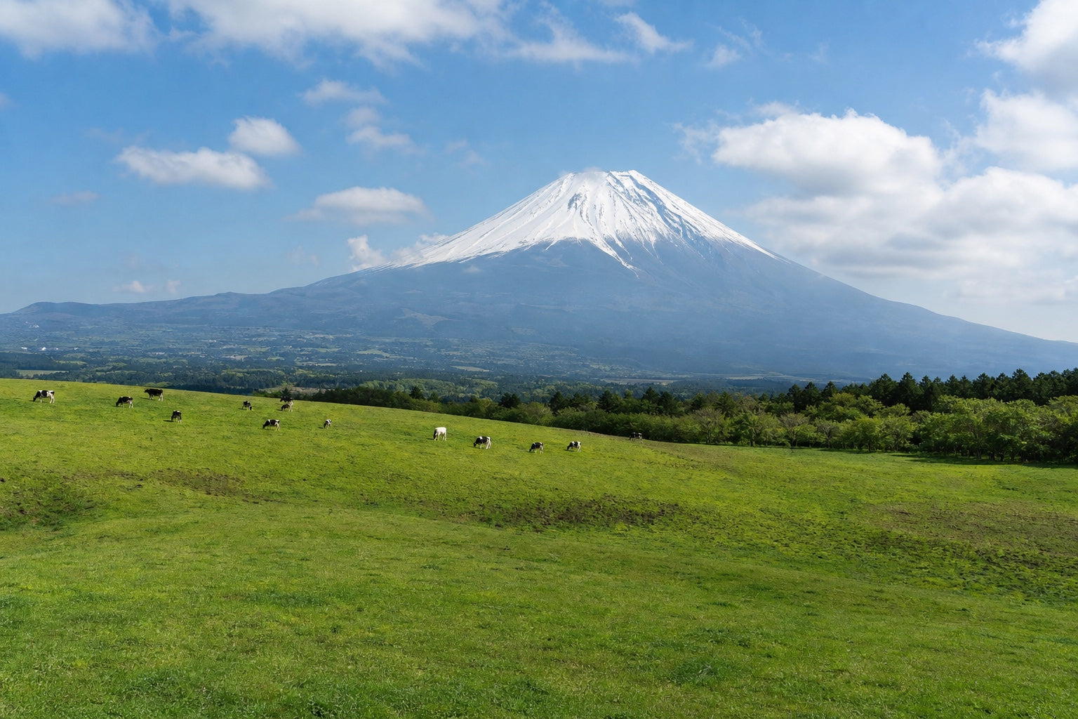 Fujinomiya — Mt. Fuji rising over the Asagiri plateau