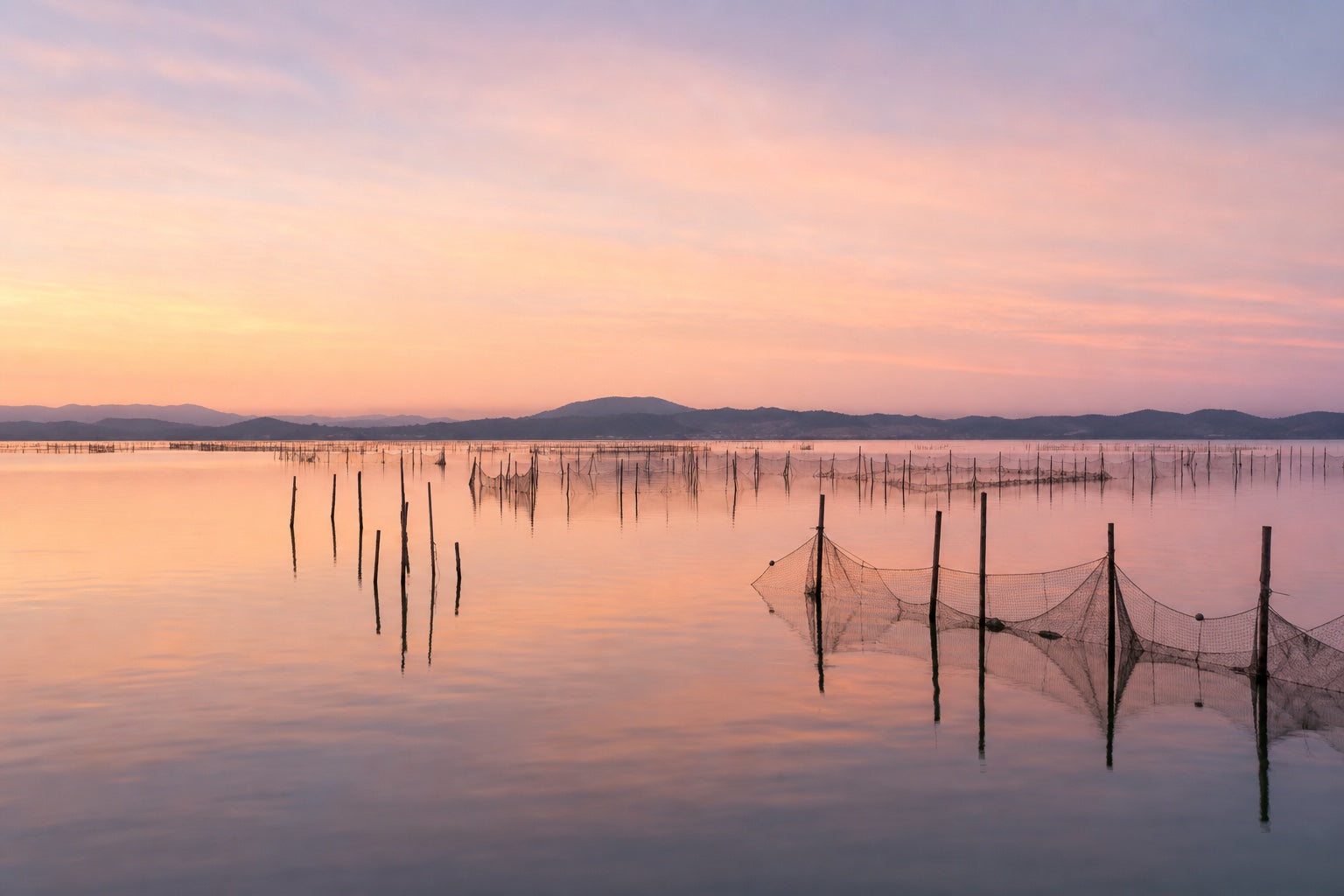 Hamamatsu — Lake Hamana and unagi farms at sunset